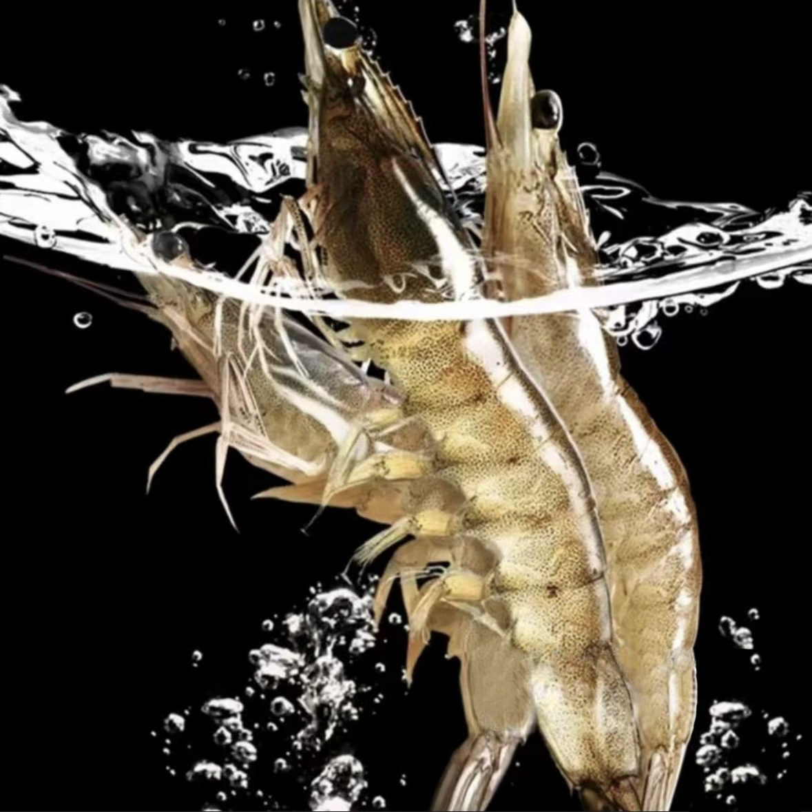 活虾基围虾约250克（到手包鲜不包活）大虾同城送