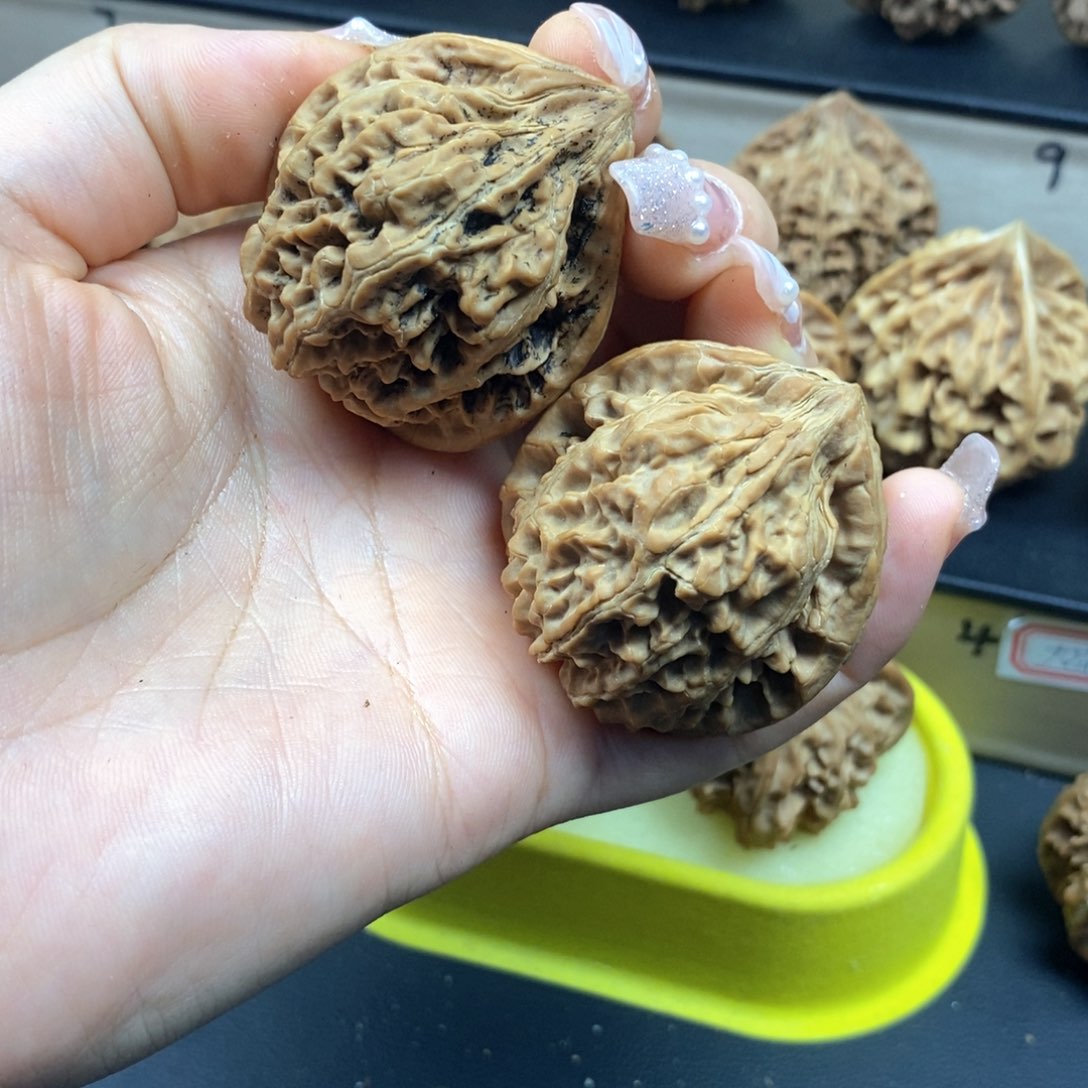 桃核把件秦岭粗筋麻核桃40