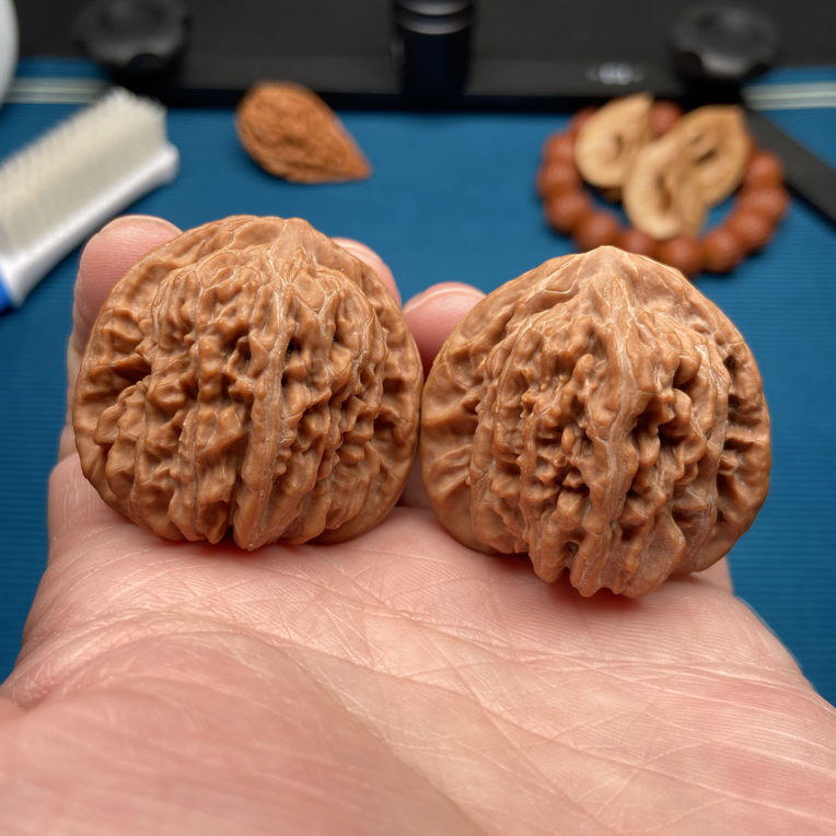 #18全品四座楼，无药原生态，粉丝无修，边41肚37高39