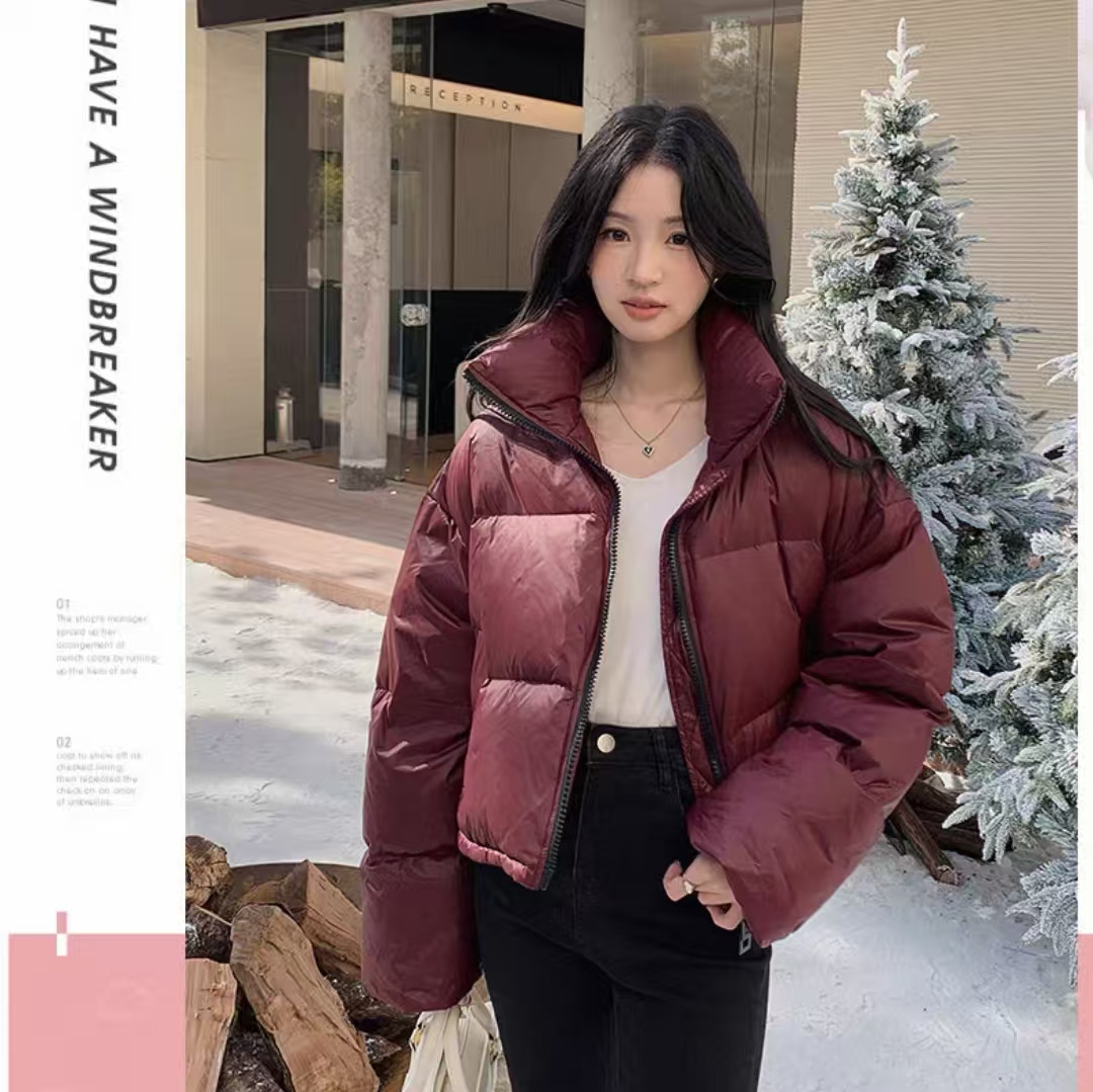 品牌同款韩系穿搭时尚女短款羽绒服外套1148款