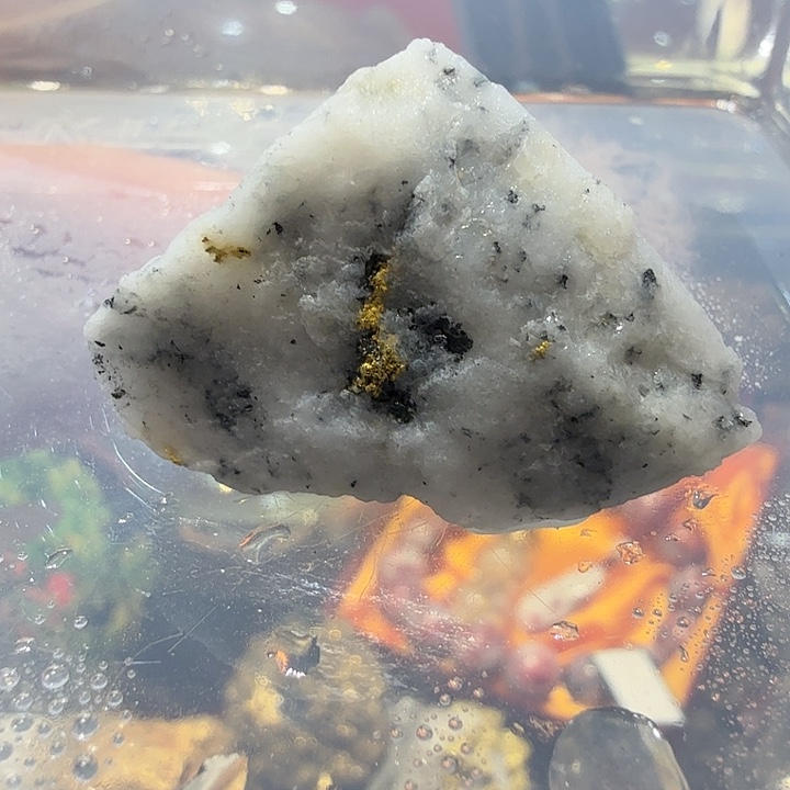 一14.8g聚金阁天然明金矿标