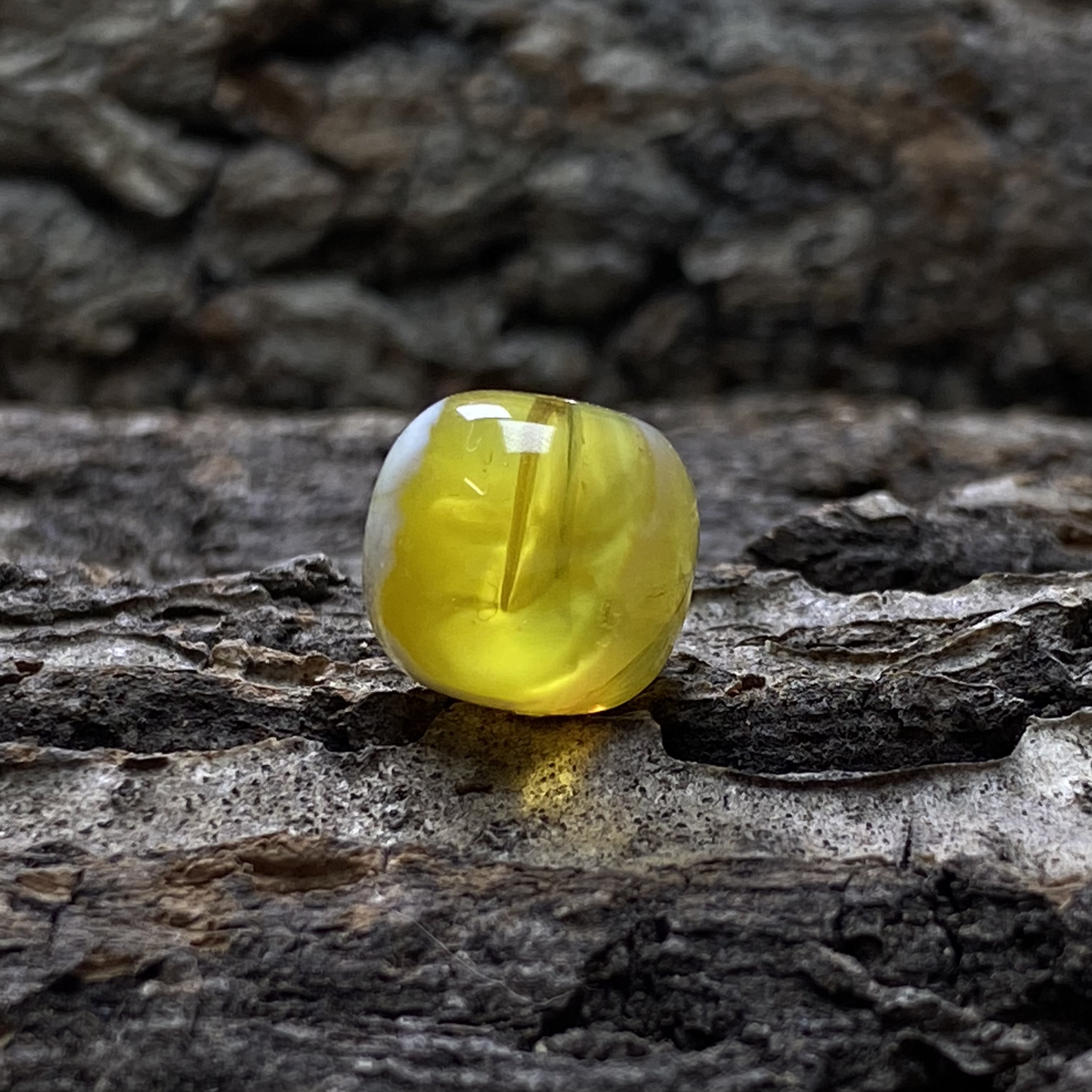 琥珀蜜蜡金瓷白溶洞特色妖老型珠12.8m有包裹植物图可见