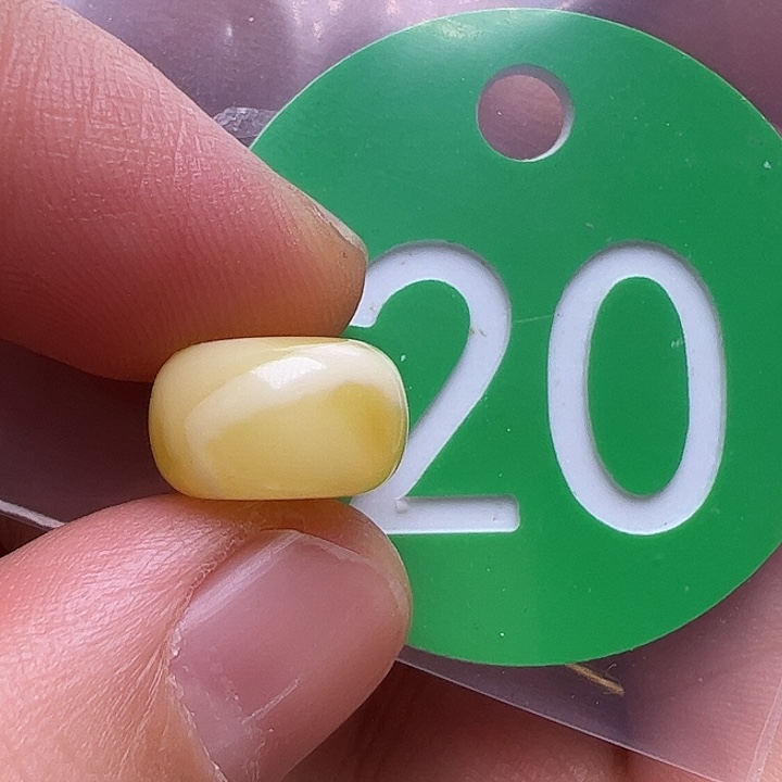 蜜蜡未镶嵌珠宝奇石11.5m m