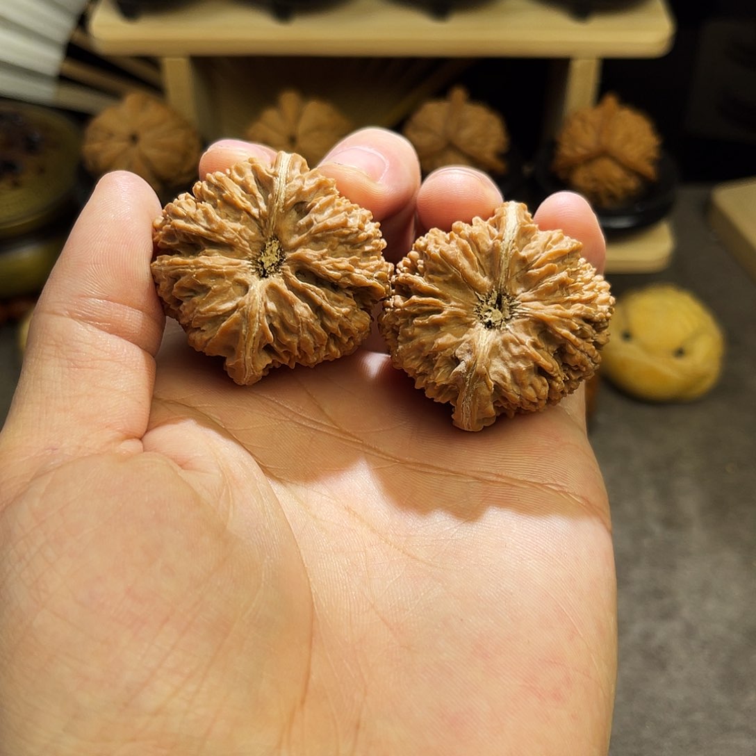 文玩核桃把件40全品凹底137狮子头