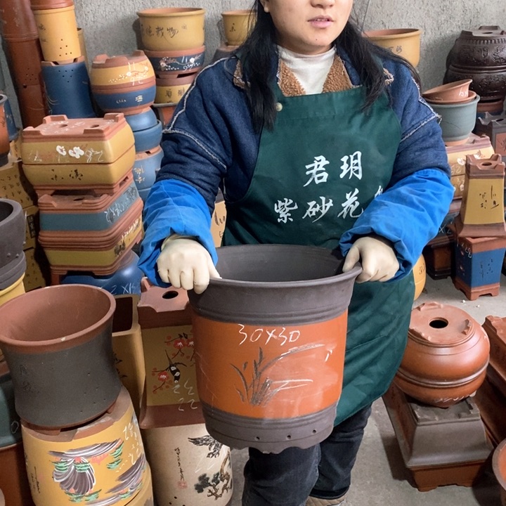 紫砂花盆盆栽花卉苗木种植