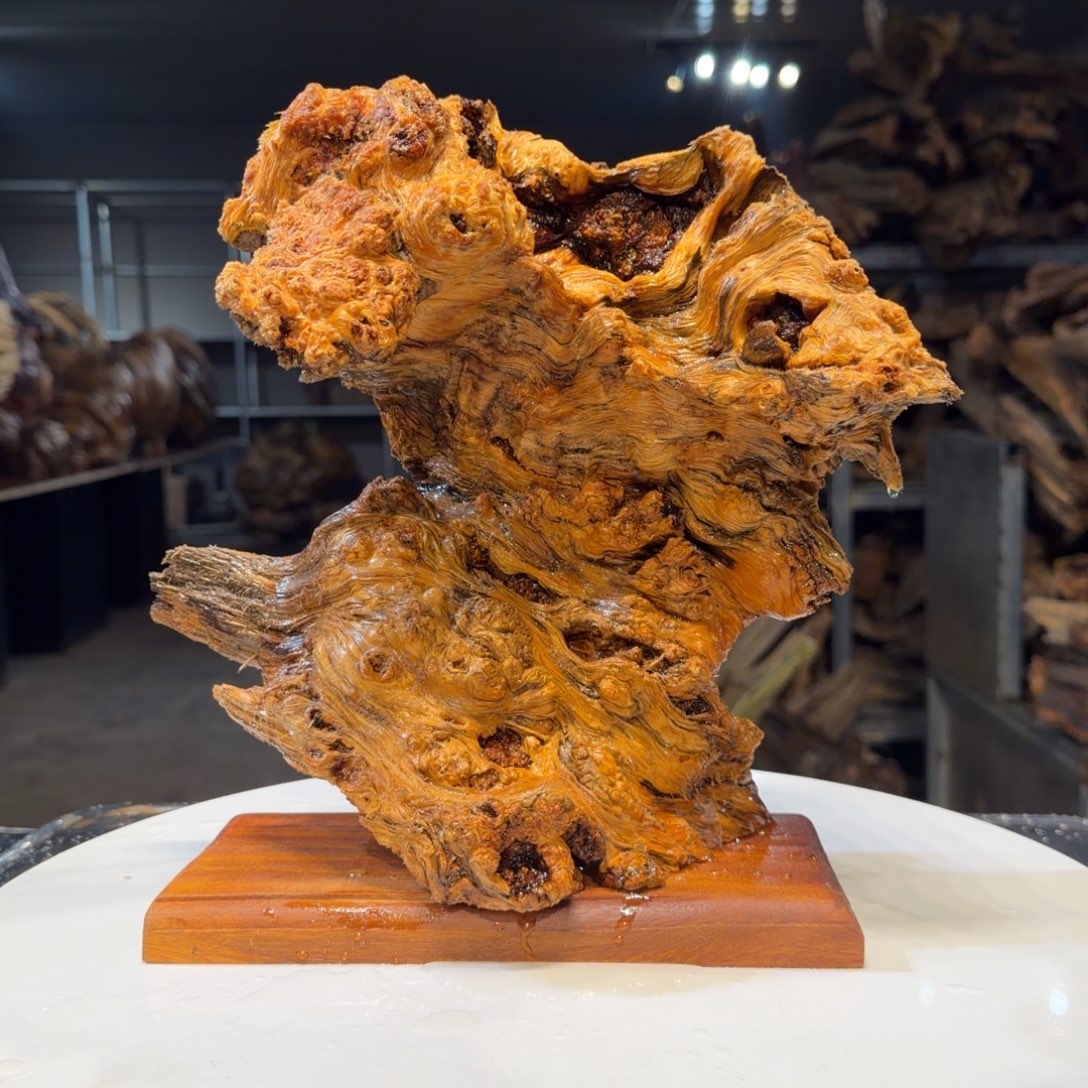 心***思木王一刀琥珀木摆件137