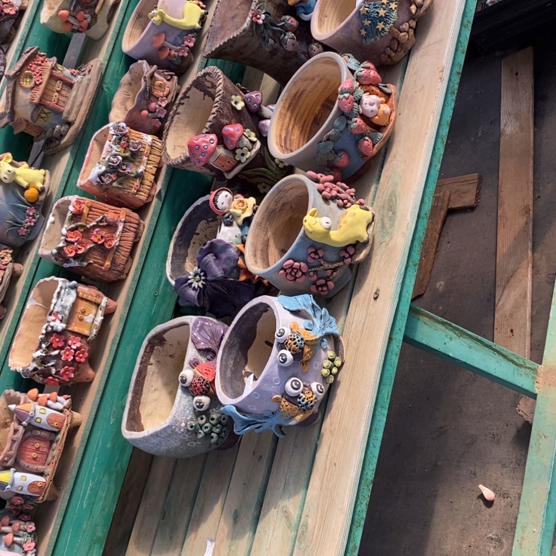 小***舞18号多肉盆10个组合