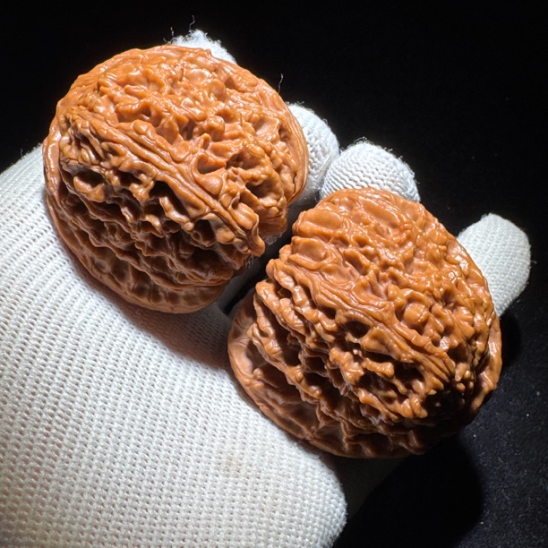 560红皮球疆分量打手蚂蚁纹主筋很正实物拍摄尺寸:边44肚46高42