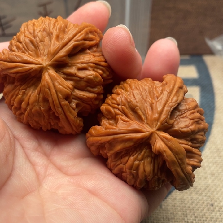 誠***核桃白狮子43核桃