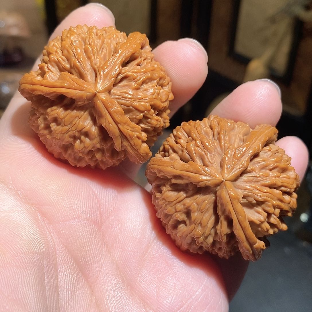 文玩核桃把件45白奔