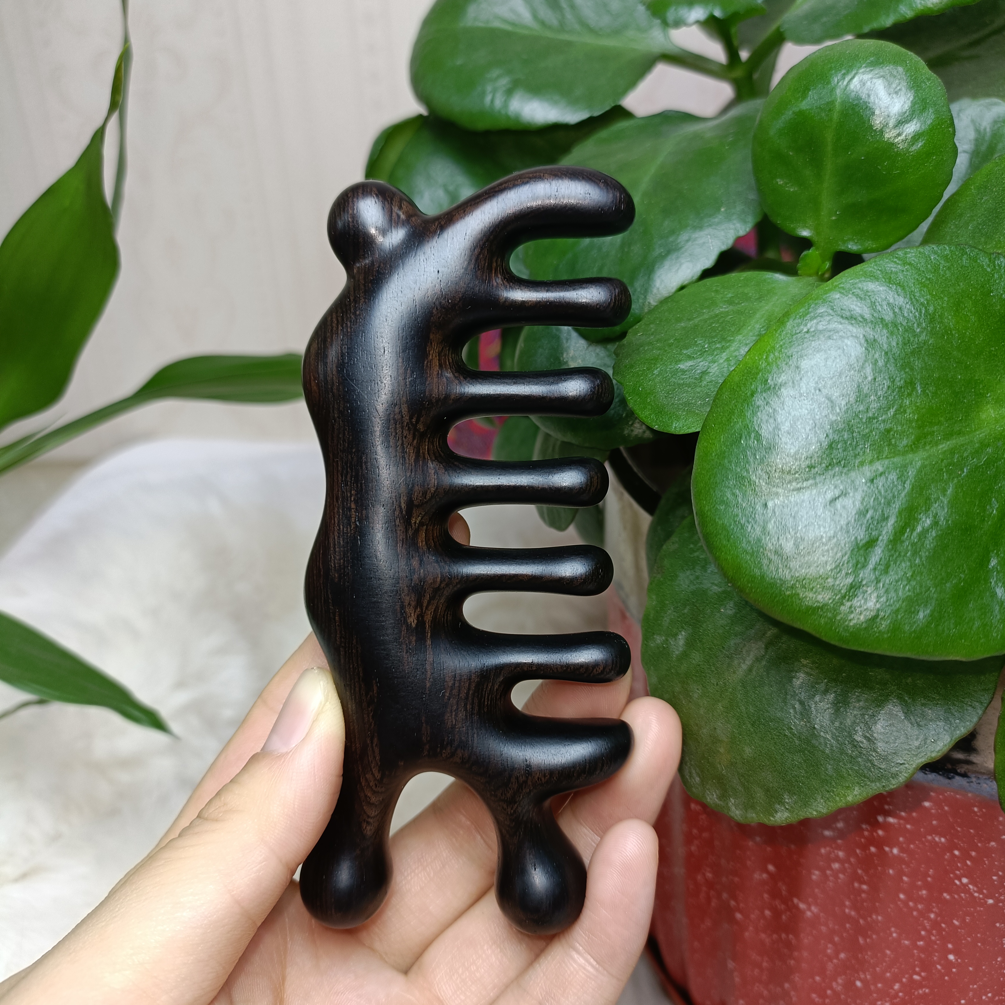 紫光檀薄蜗牛按摩梳，全家通用(单个)随机推荐