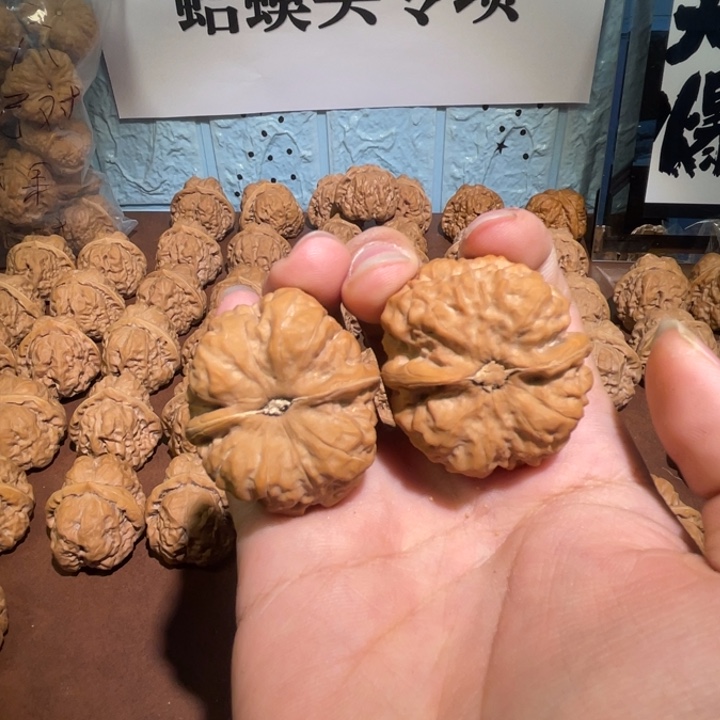 T****手串/手链核桃11111111