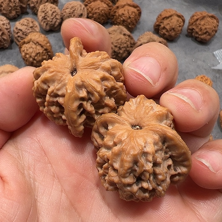 文玩核桃把件新*然30凹底珊瑚