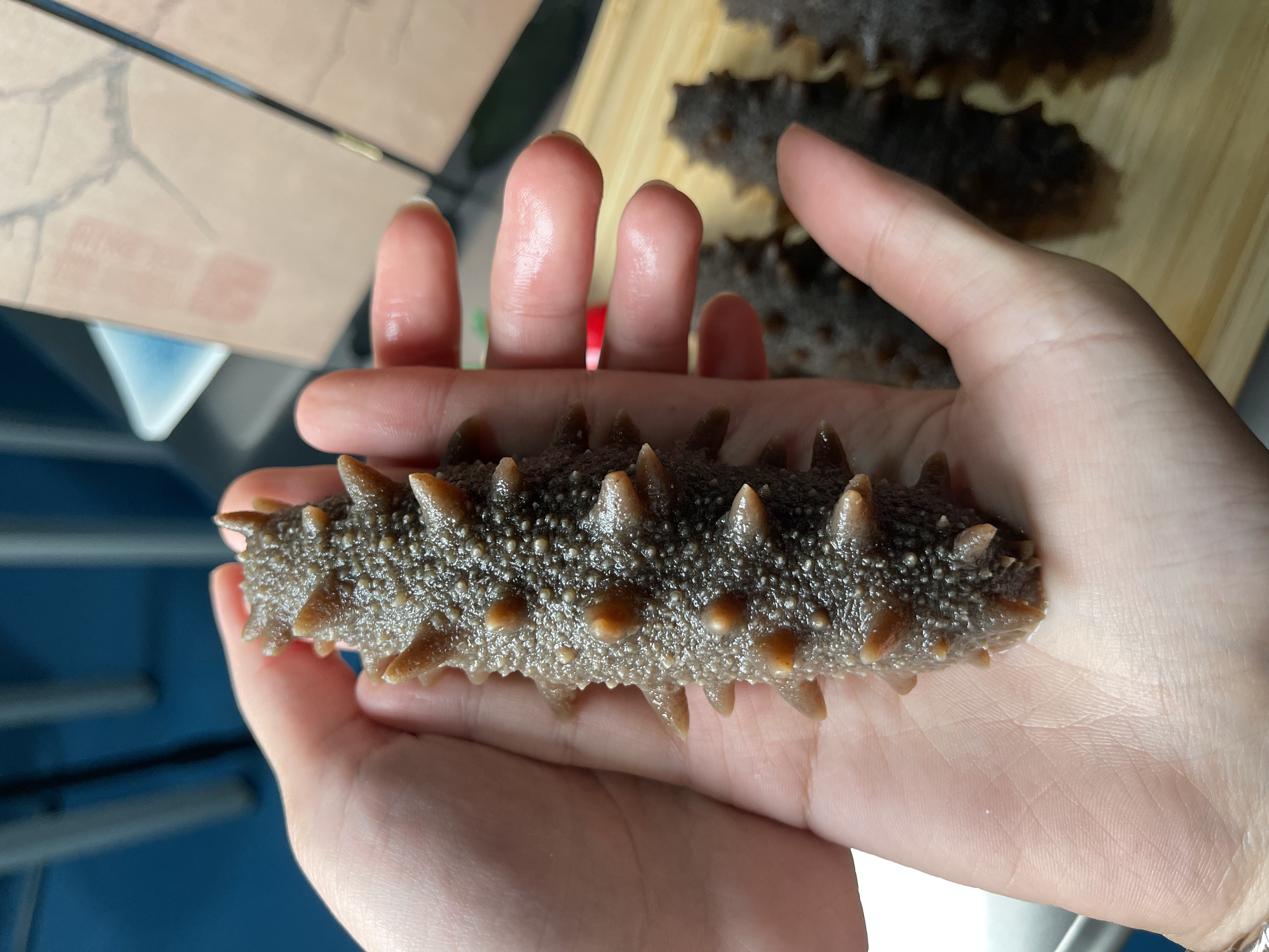 【静静大连海鲜】大连即食海参独立真空包装深海海参品质