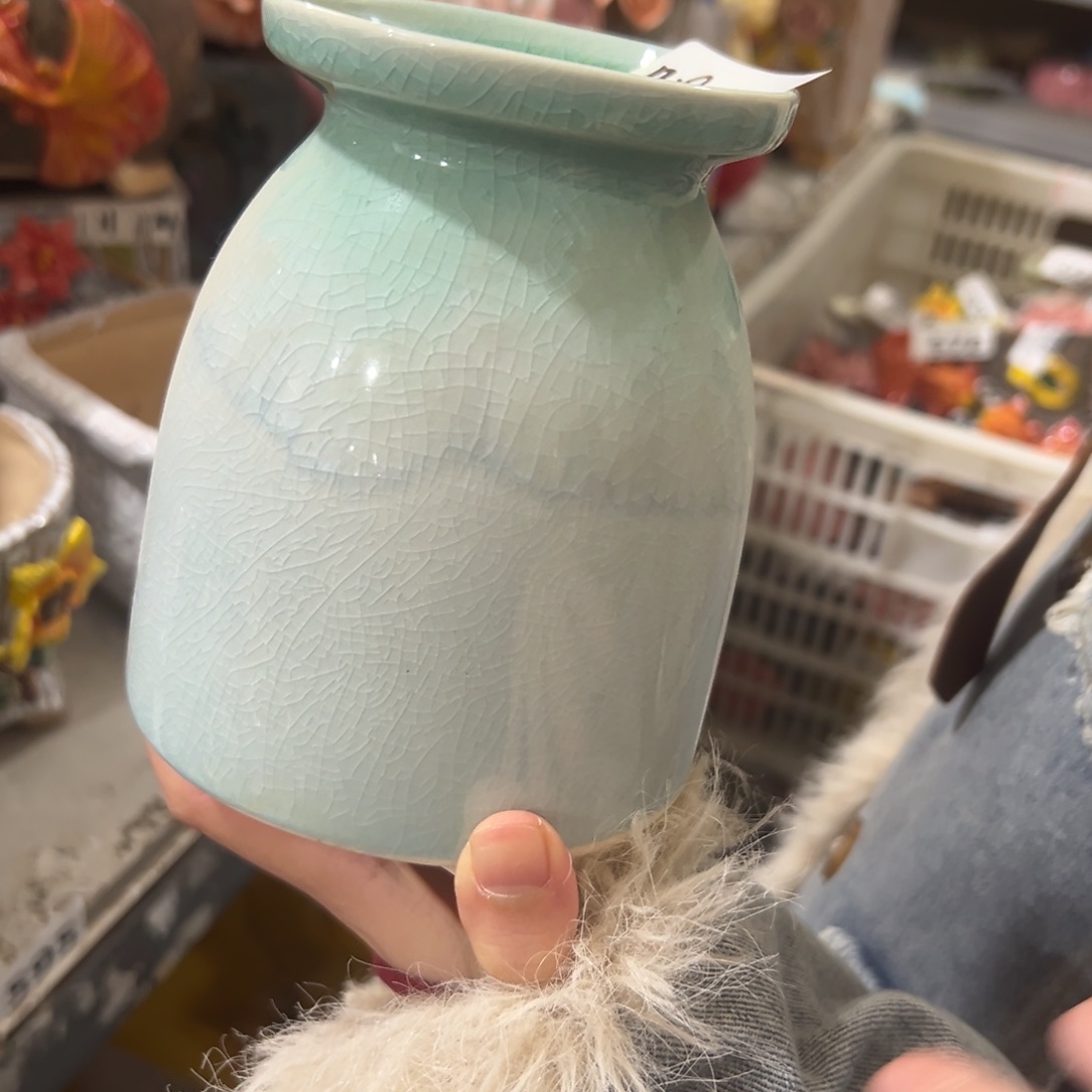 花盆，拍满20发货，退款拉黑颜色随便