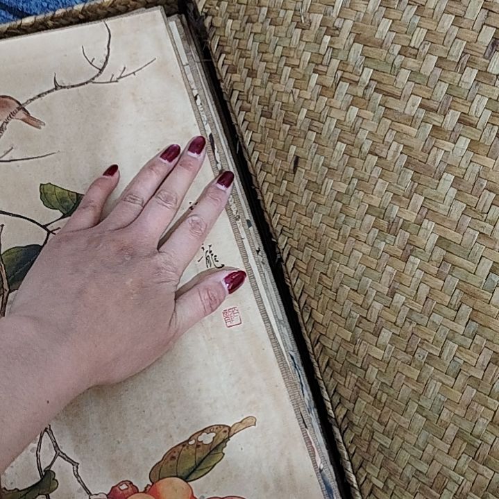 瓷片南***酒瓷器瓷器瓷器瓷器瓷器