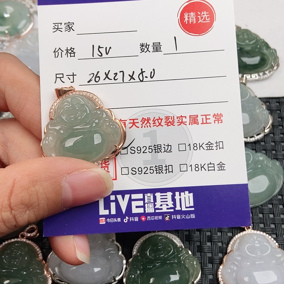 翡翠银S925镶嵌颈饰