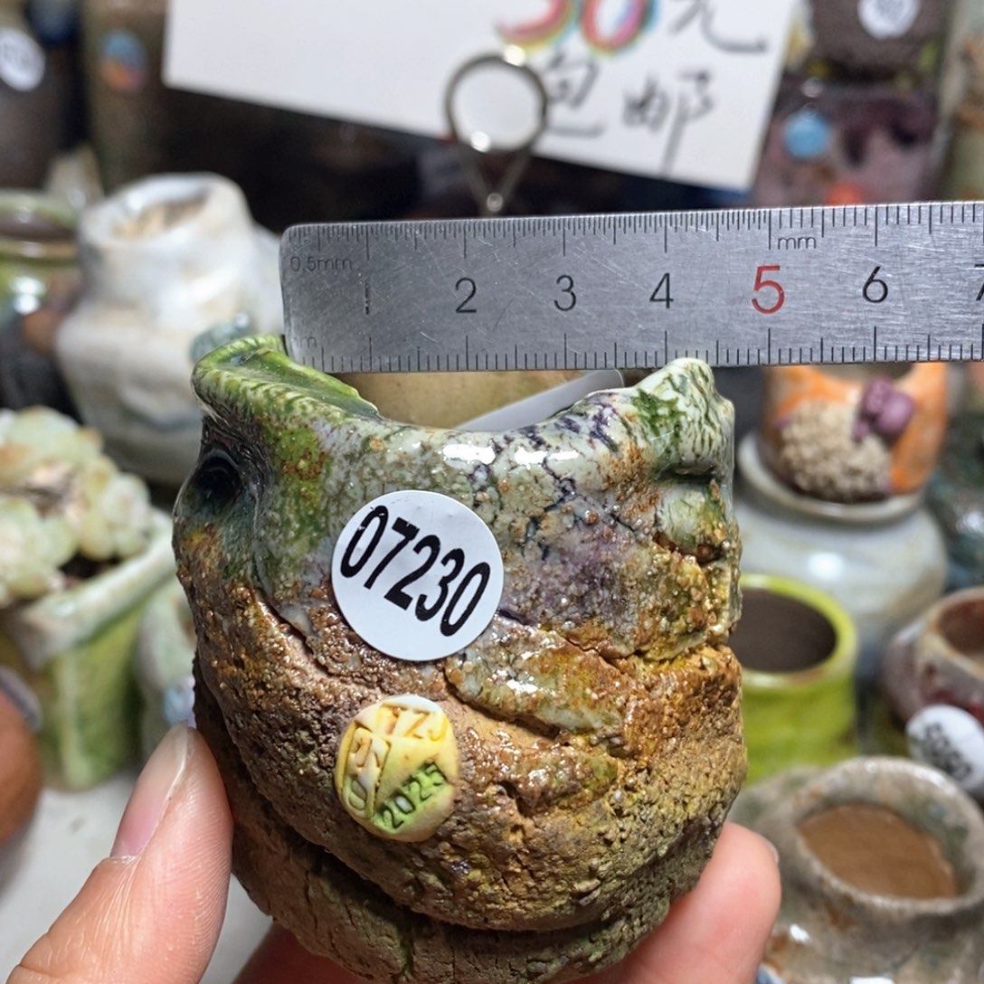 花盆拍3送一个小礼物