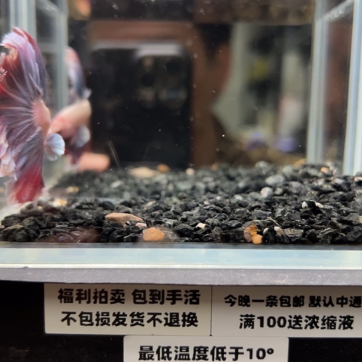 斗鱼跑单拉黑4日10
