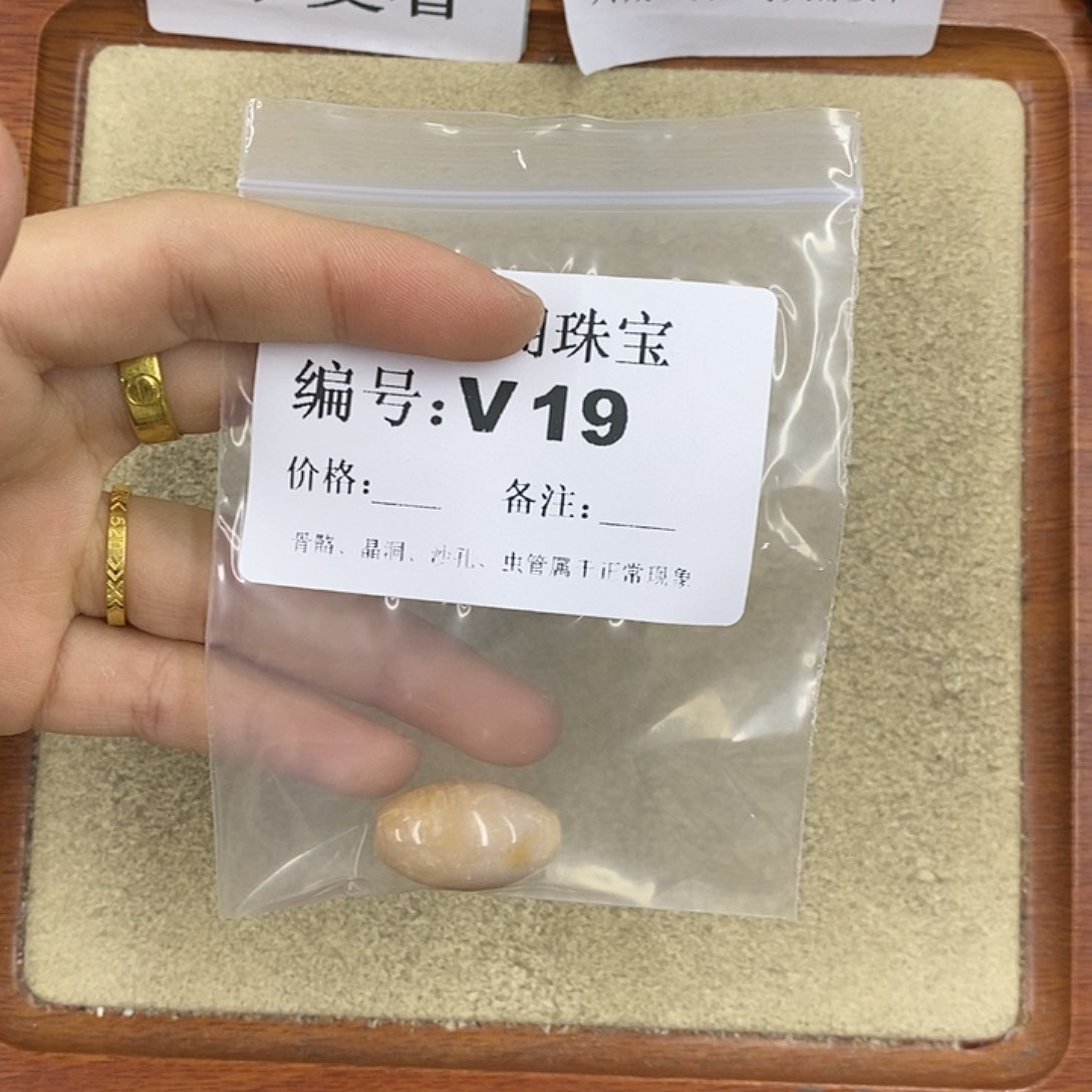 硅化珊瑚（珊瑚玉）颈饰未镶嵌小**儿