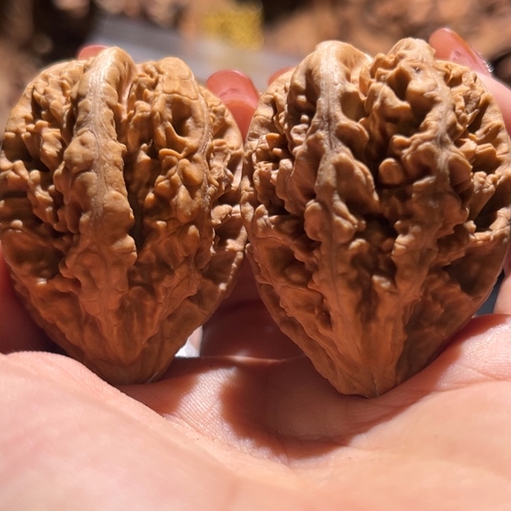 桃核吊坠九哥楸核14