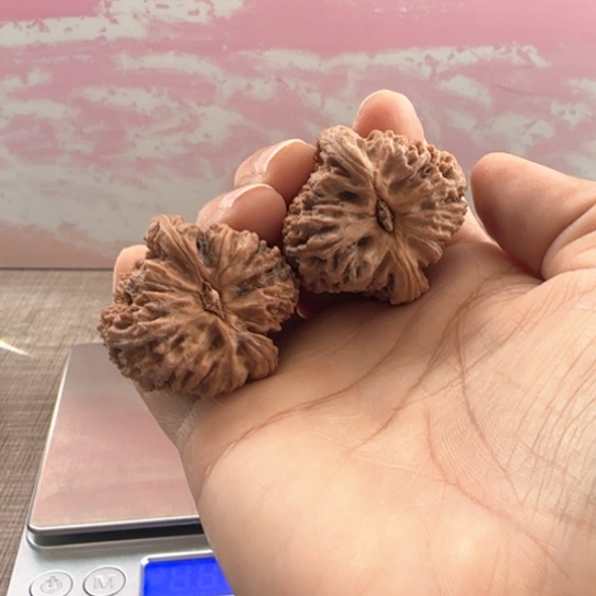 桃核吊坠兜****钱核桃核桃
