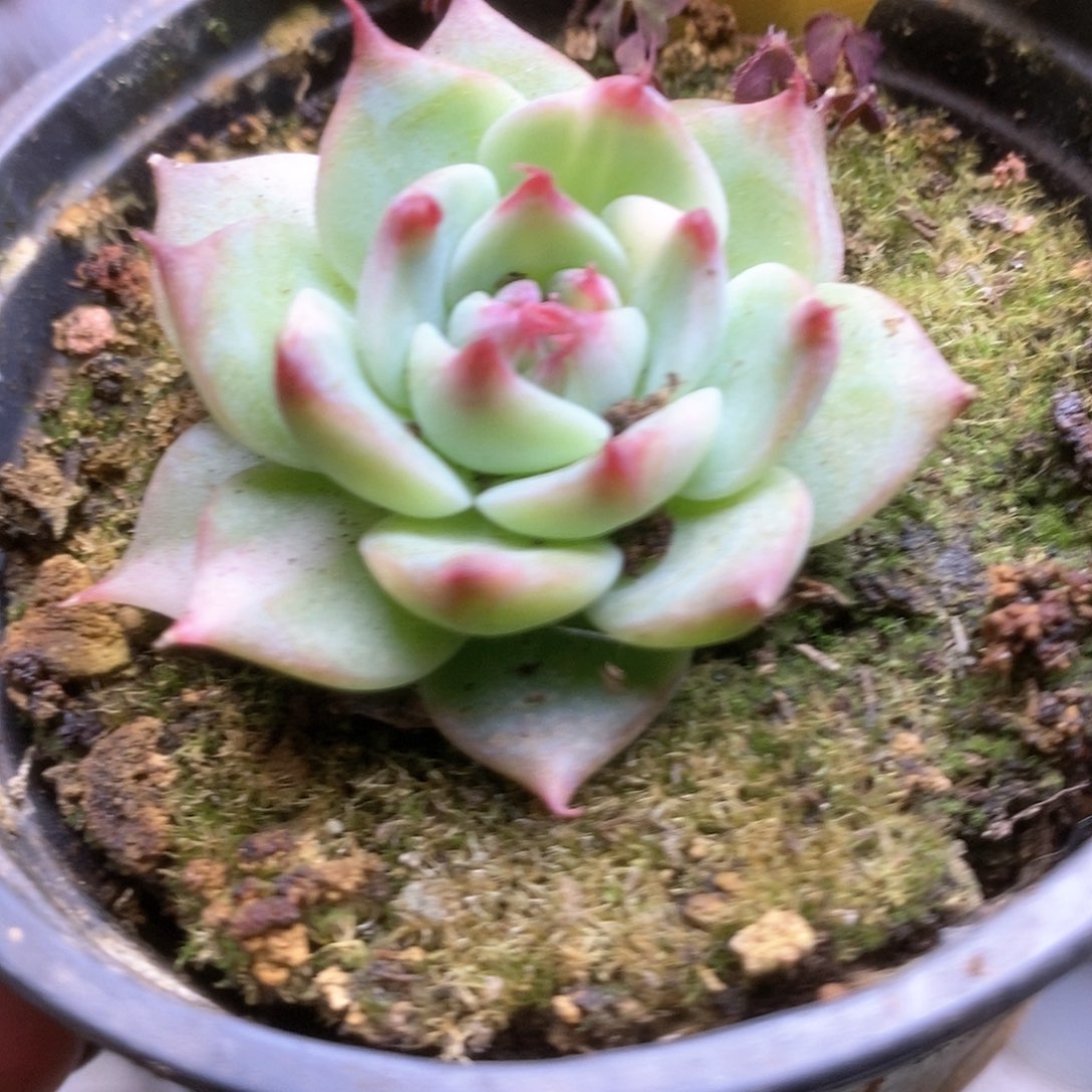 135哈哈哈哈哈哈哈哈