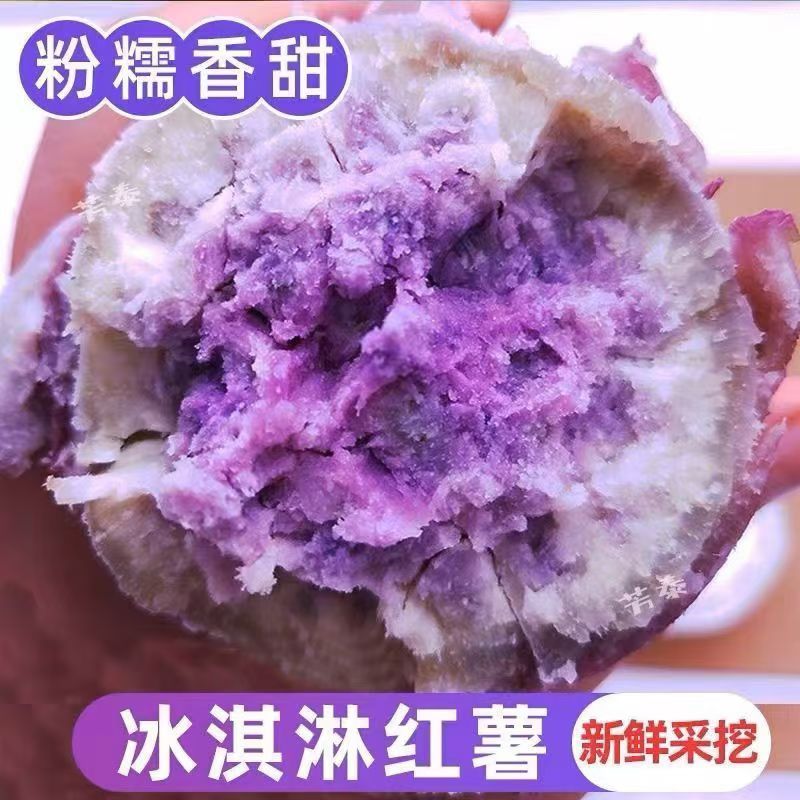 正宗广东电白高州冰淇淋红薯新鲜现挖沙地一点红番薯粗粮地瓜