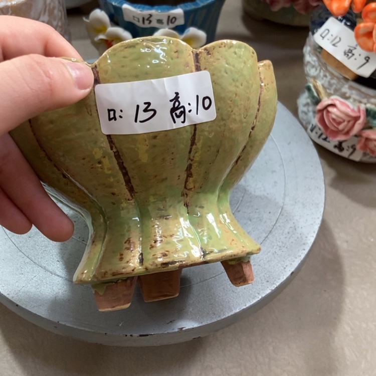 【闪购商品】红陶福利福利福利福利