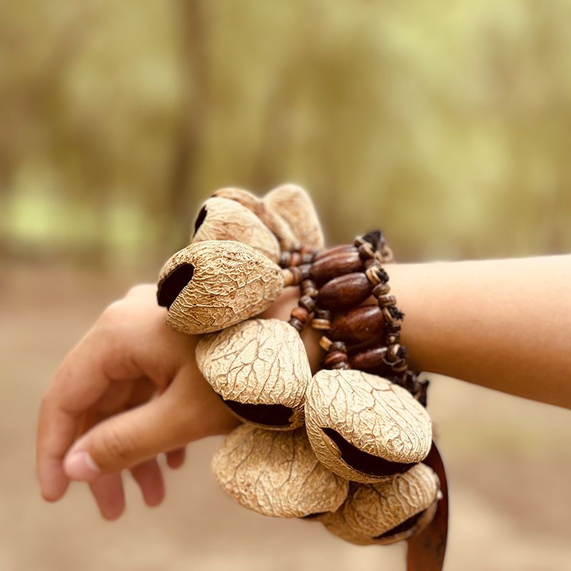 果壳手铃天然植物果实摇铃串铃音束疗愈瑜伽风铃静心乐器音束伴奏