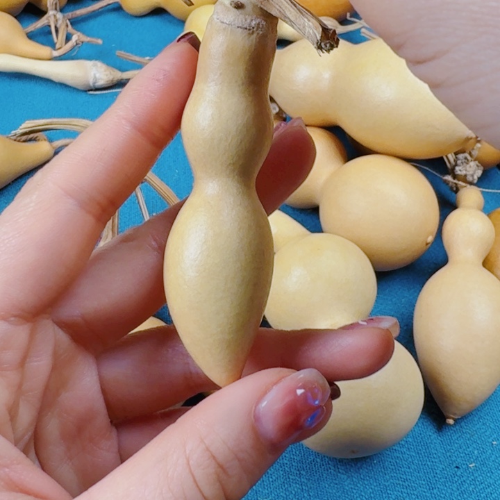 青****、其实生生世世生生世世