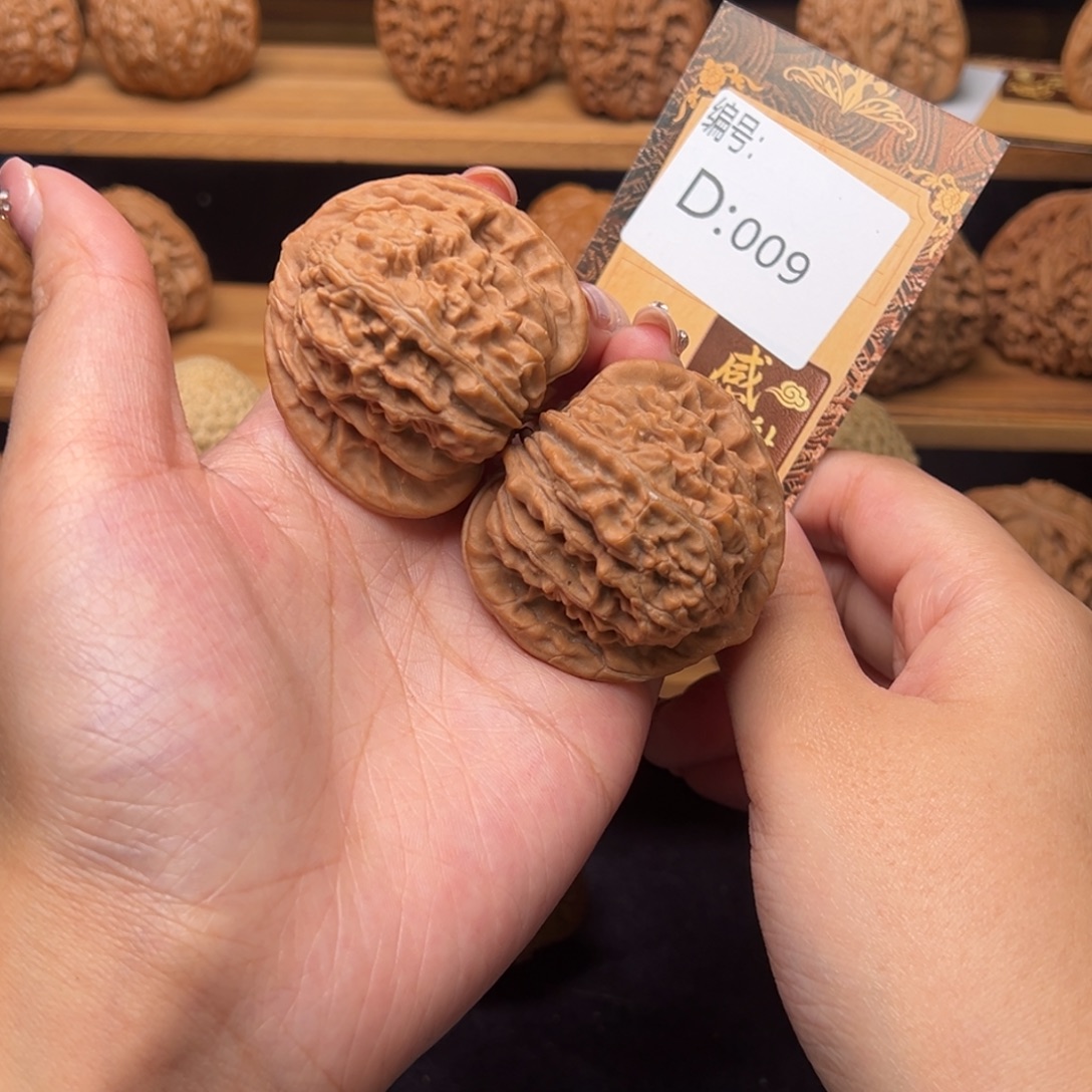 核桃d009四座楼4.7