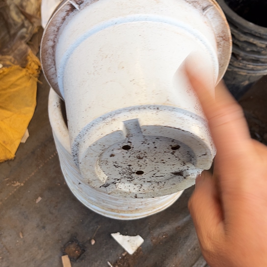 旧口径18高13白圆盆加厚20个