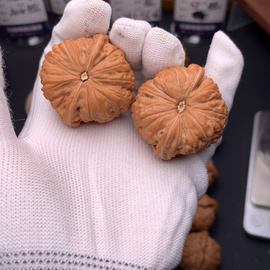 文玩核桃吊坠40金蝉子