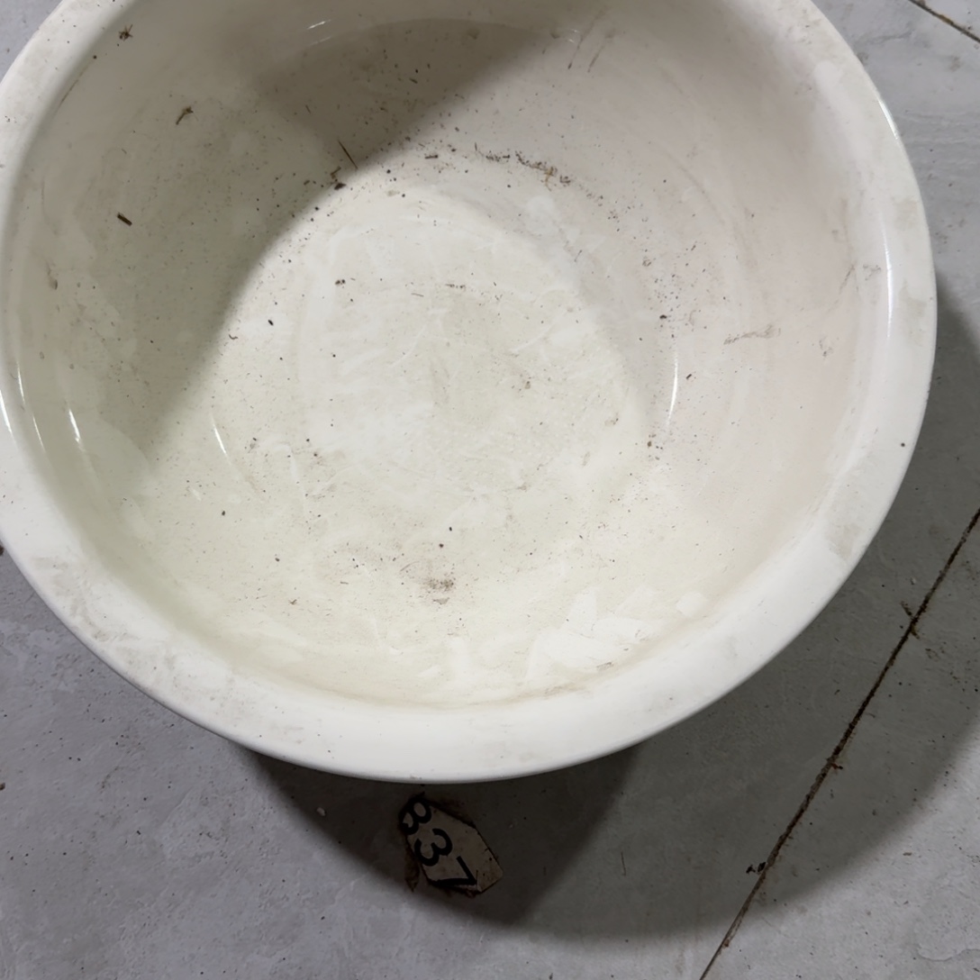 茶盏老货一人份落脚之日开始到来之前是