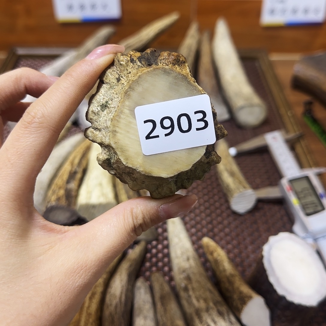 鹿骨手串/手链角帽2903