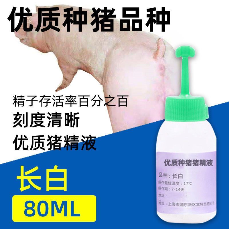 猪精长白大白猪精液60ml2瓶