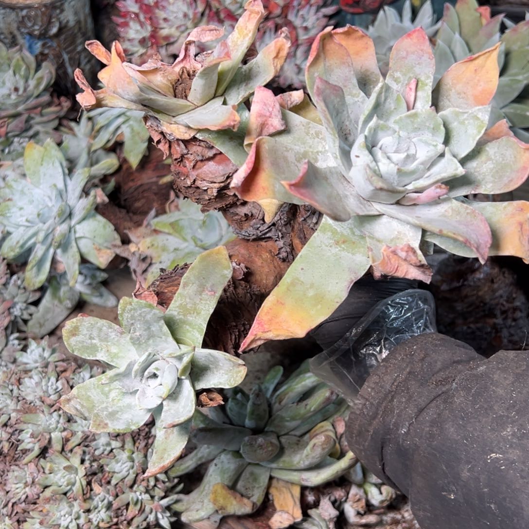 9075哈哈哈哈哈哈哈哈哈