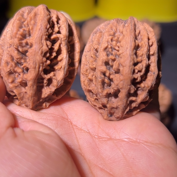 文玩核桃吊坠核桃9