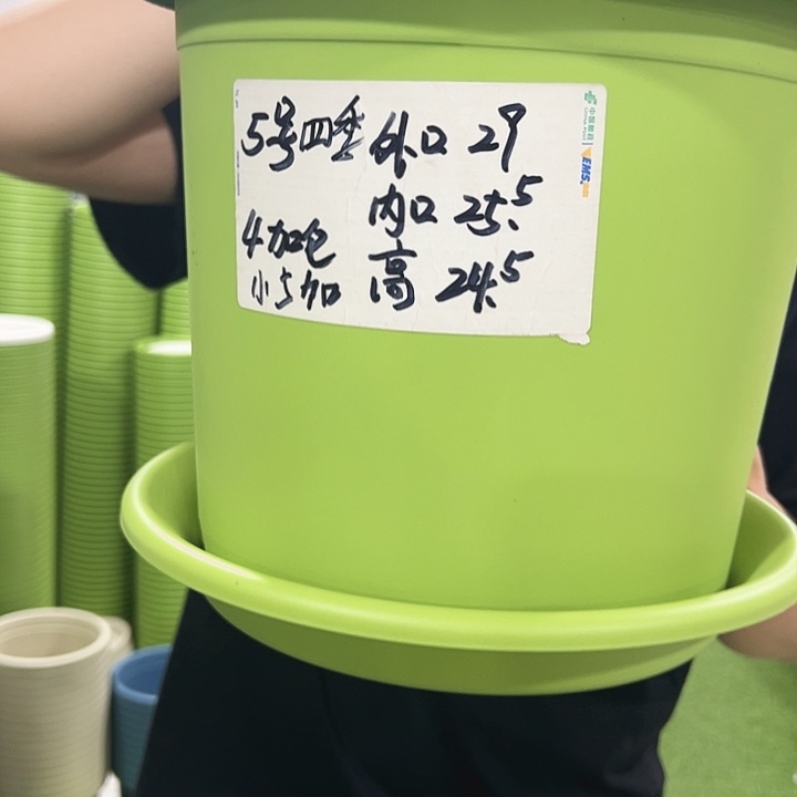 特价5号口29高24.5果绿色5只带托