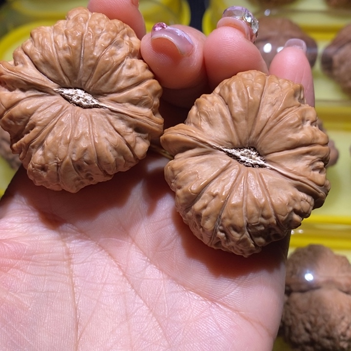 南瓜南瓜43尺寸的南瓜