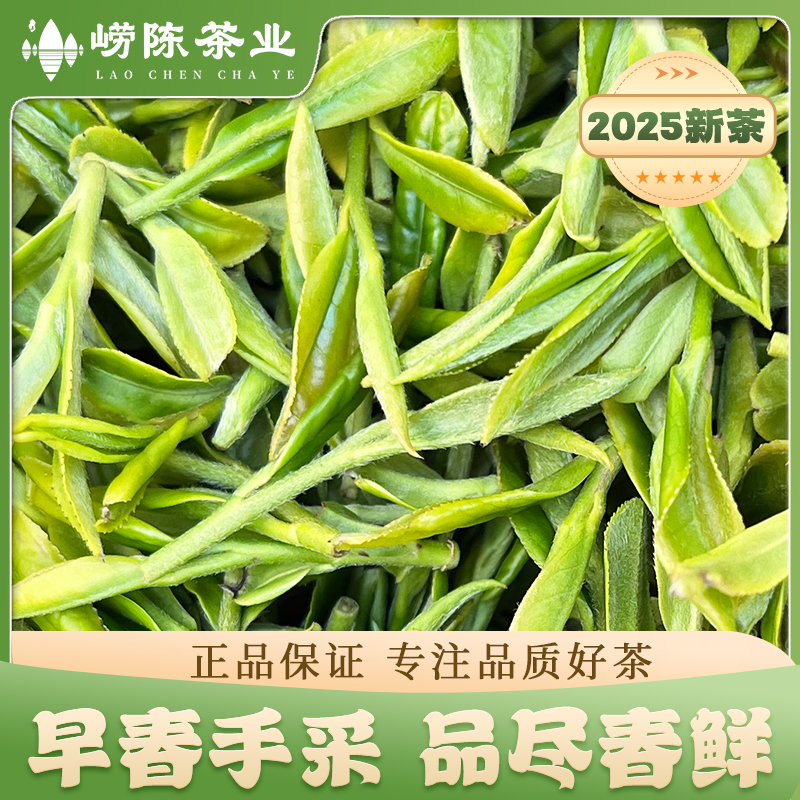 【大田二采】正宗崂山绿茶2025年新茶特级春茶叶老手工绿茶嫩芽青岛