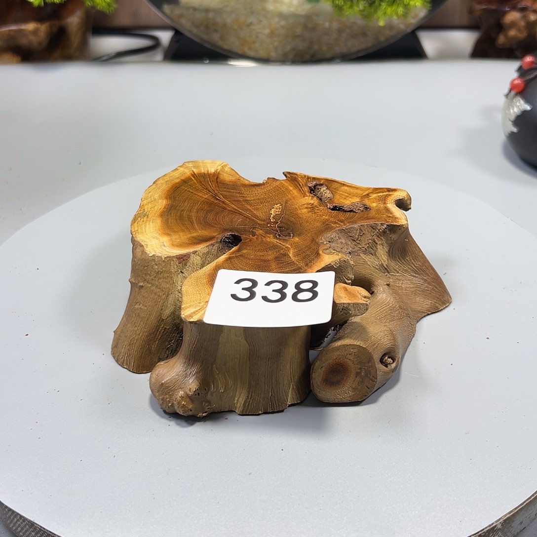 大果紫檀（缅甸花梨）犝****