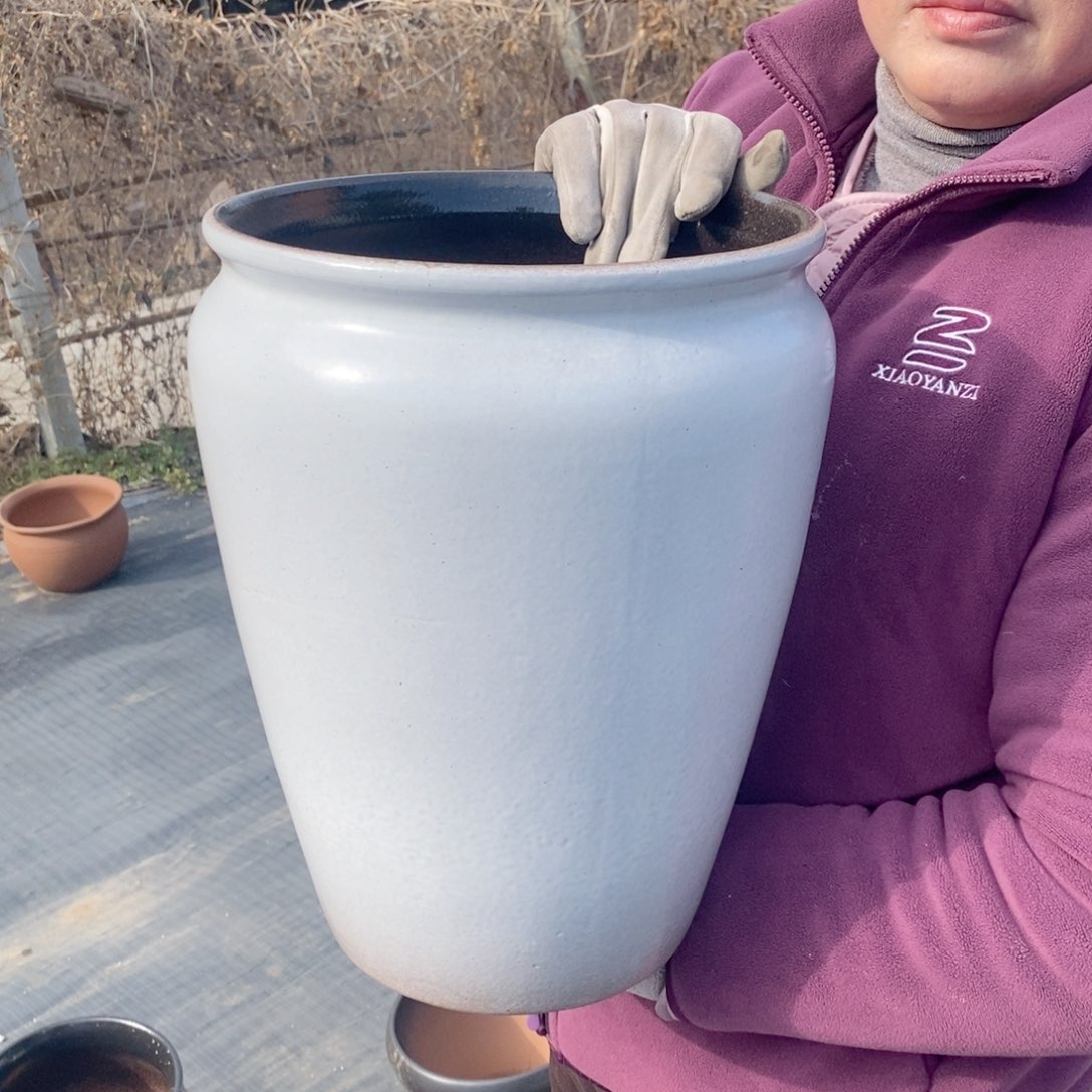 红陶口25高33～～～