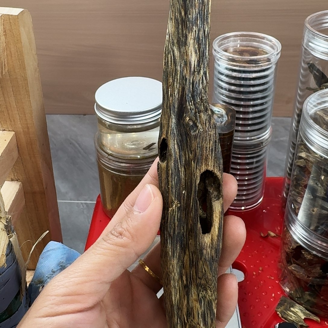 香料绿奇楠虫漏白棋24克