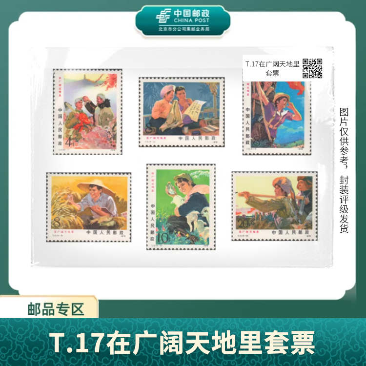 中国邮政-T.17在广阔天地里套票邮票（盒子票）S