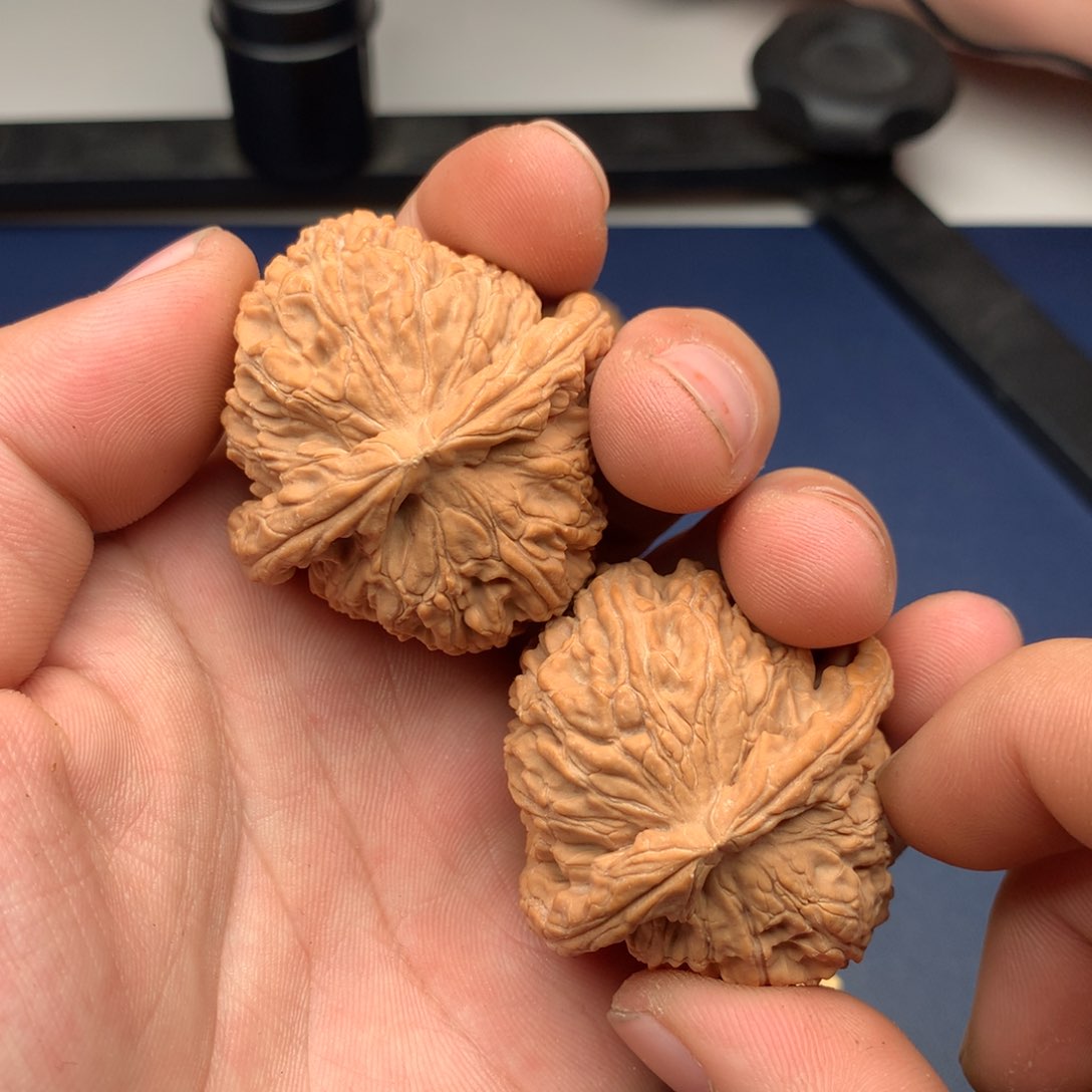 文玩核桃把件白狮子