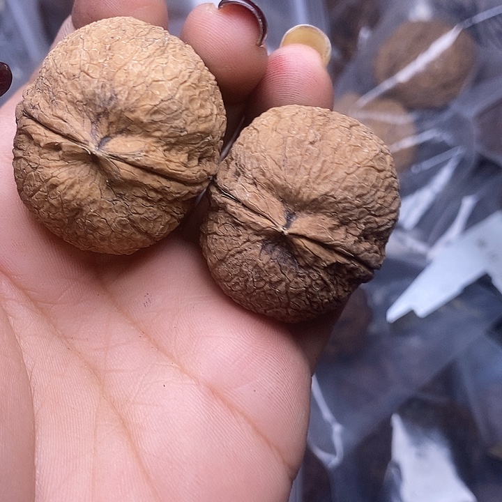 文玩核桃吊坠100号37mm