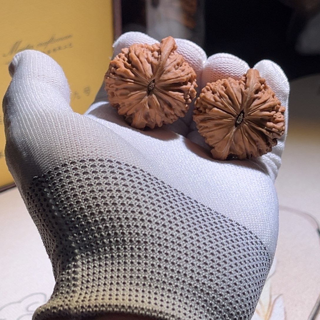 夜***许磨盘磨盘磨盘磨盘 