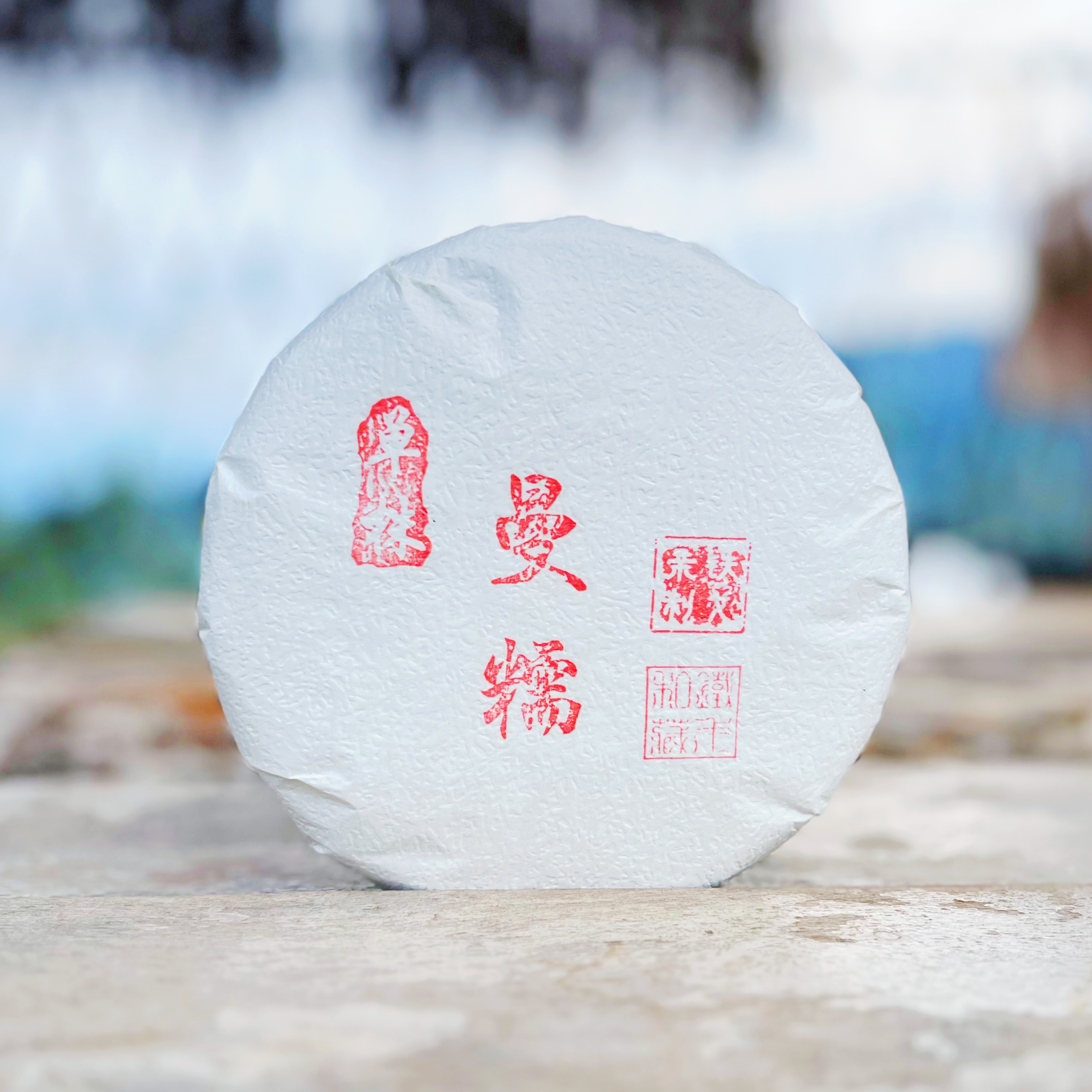 2025年 曼糯单株秋茶 200克饼普洱茶生茶